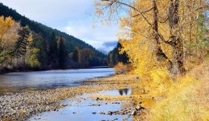Kettle River - Midway BC